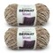 Bernat Velvet Mushroom Yarn - 2 Pack of 300g/10.5oz - Polyester - 5 Bulky - 315 Yards - Knitting/Crochet
